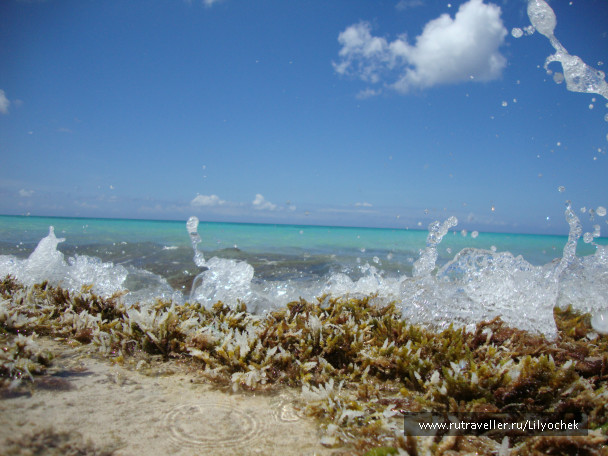 photo 406223