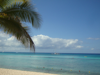 photo 406225