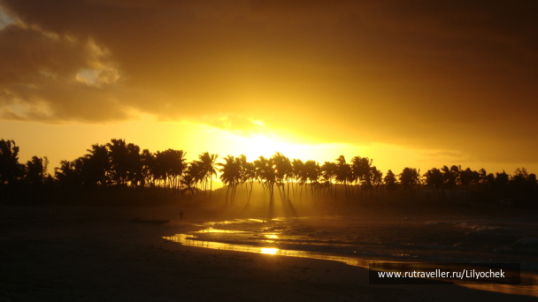 photo 406234