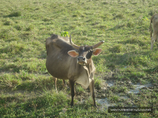 photo 412148