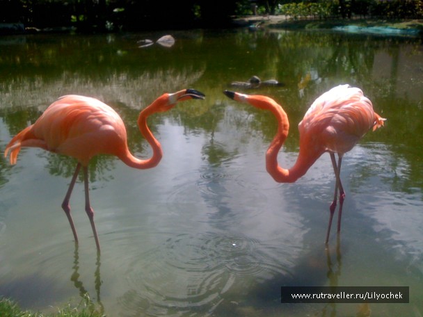 photo 413803