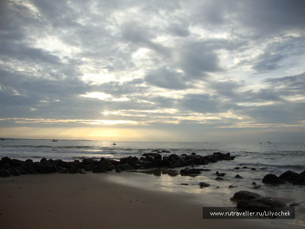 photo 1258921