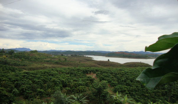 DSC07213