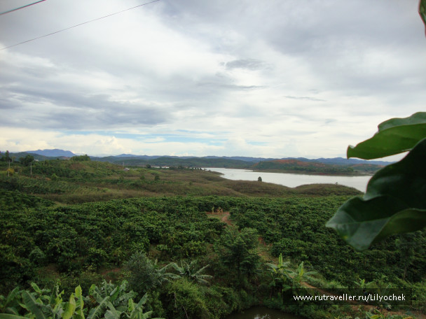 photo 1258923
