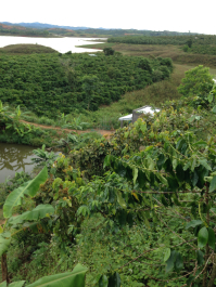photo 1258938