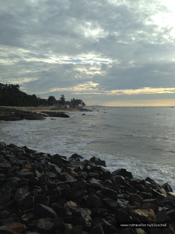photo 1258941