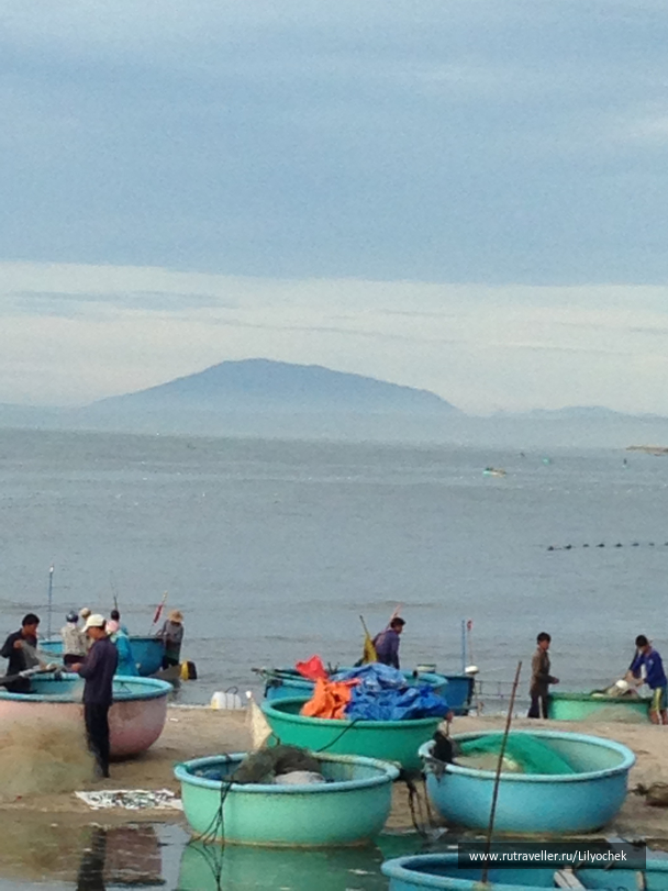 photo 1258942