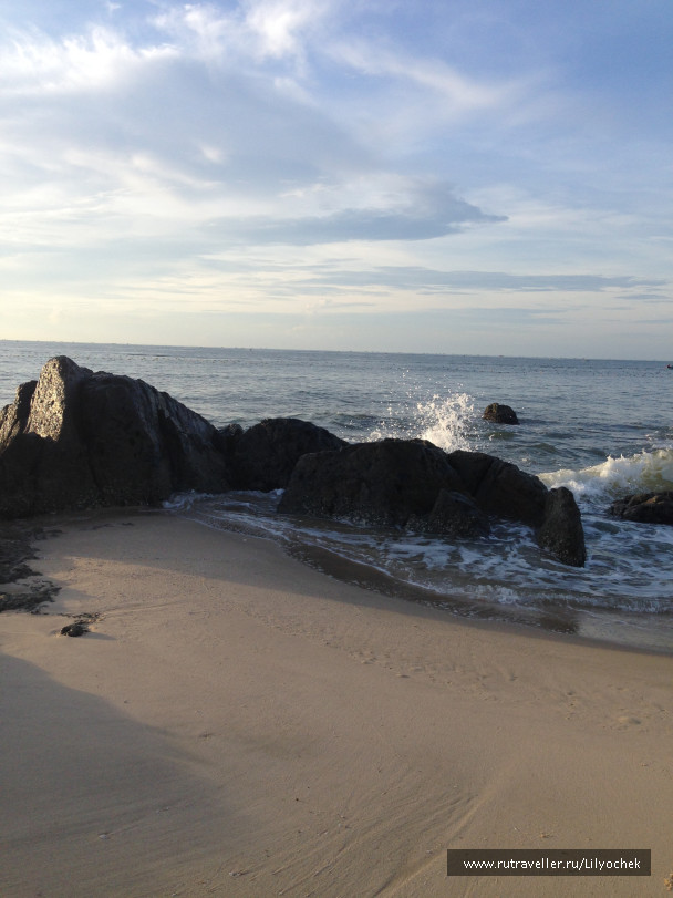 photo 1258959