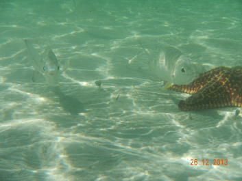 photo 637618
