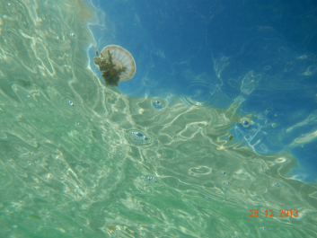 photo 637620