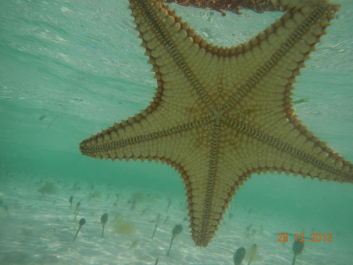 photo 637621
