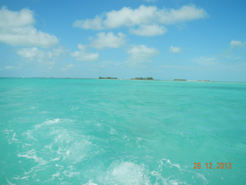 photo 637622