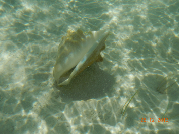 photo 637623