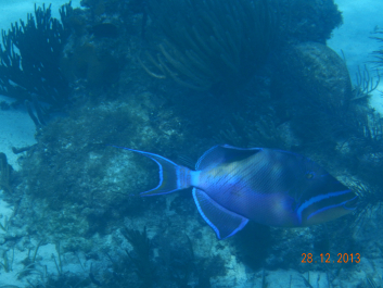 photo 637624