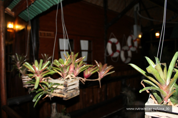 photo 137025