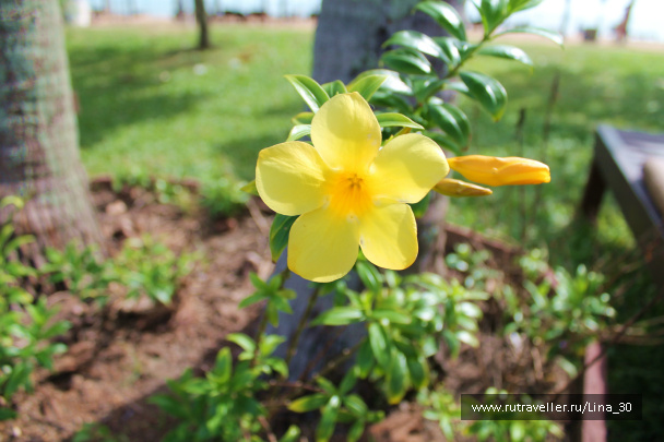 photo 137114