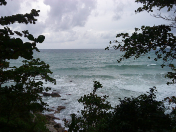 photo 137774