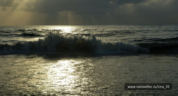 photo 137799