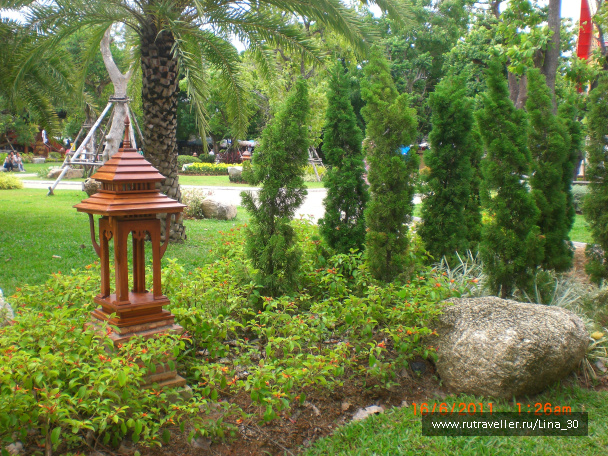 photo 137825