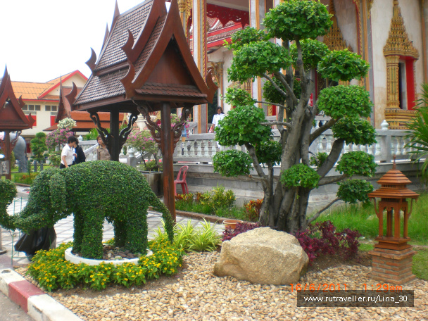 photo 137833
