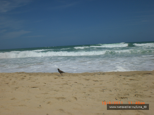 photo 137835