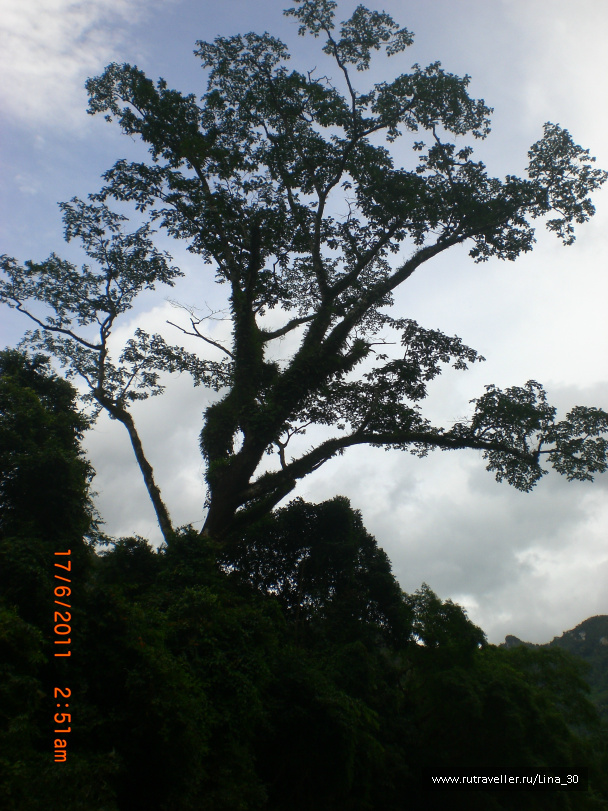 photo 137851