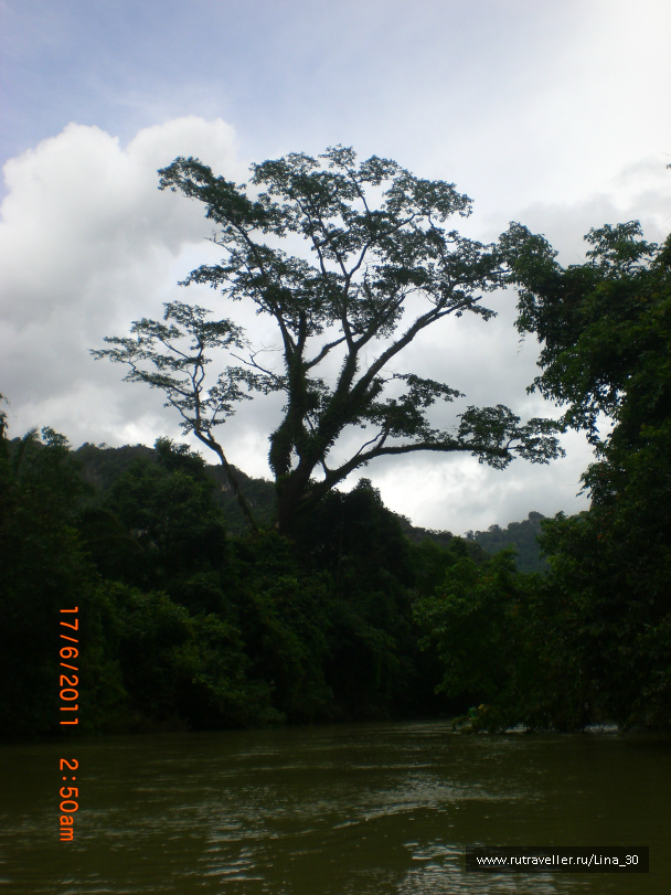 photo 137852