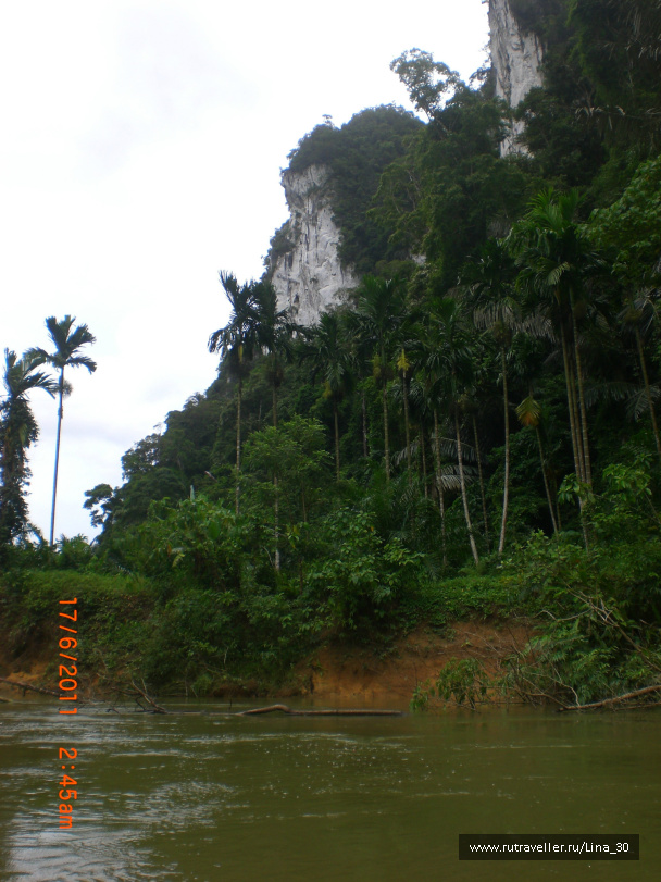 photo 137854