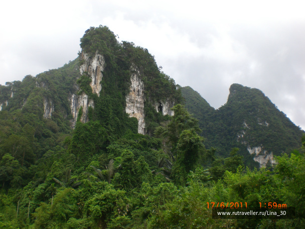 photo 137861
