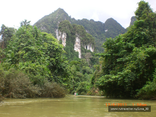 photo 137862
