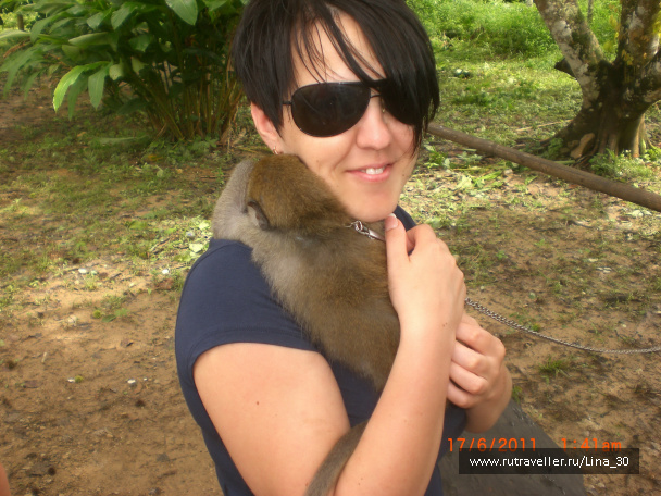 photo 137865