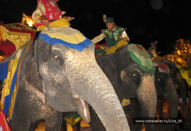 photo 137943