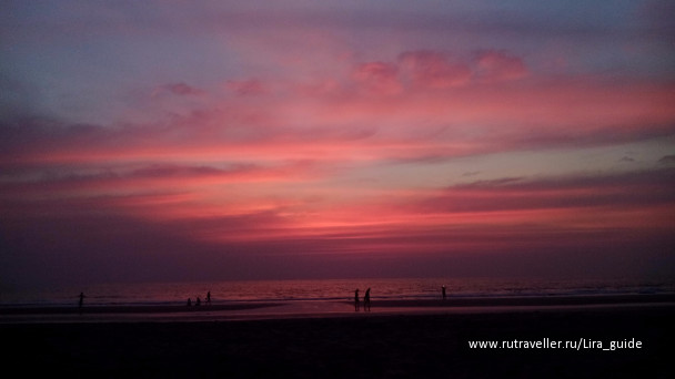 photo 1422253