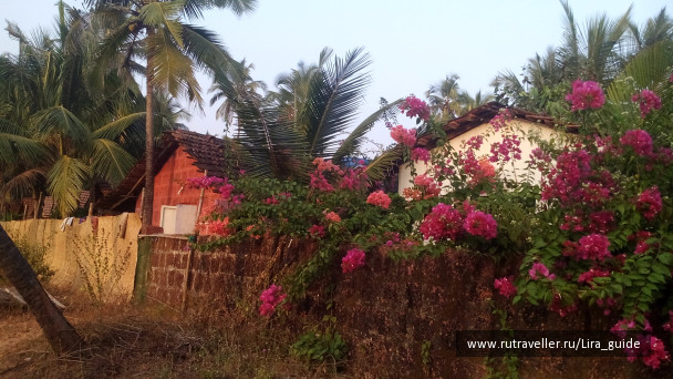 photo 1422254