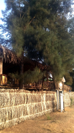 photo 1422907