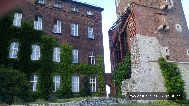 photo 1328790