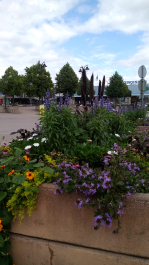 photo 1352787