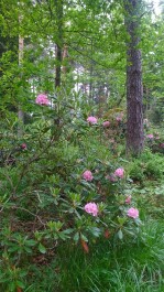 photo 1352801