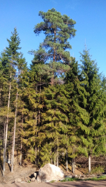 photo 1394416