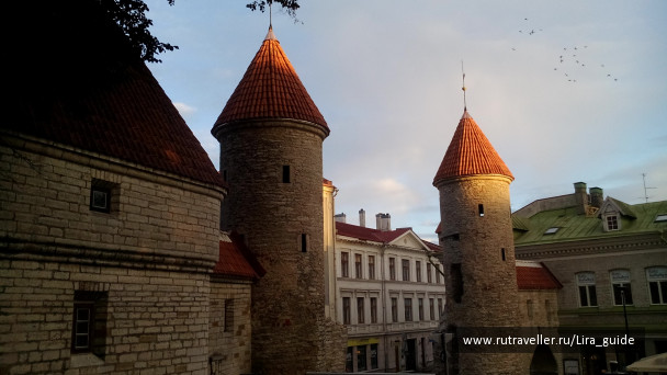 photo 1394418
