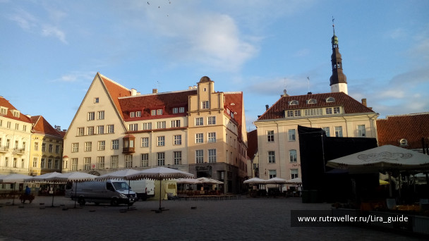 photo 1394419