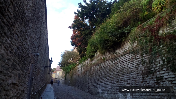 photo 1394430