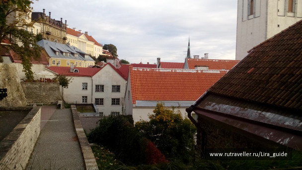 photo 1396029