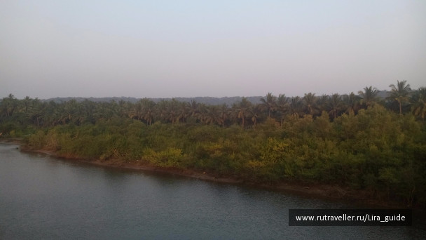 photo 1422822