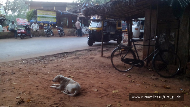 photo 1422897