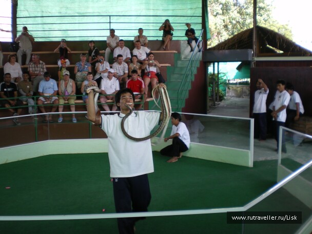 photo 2585