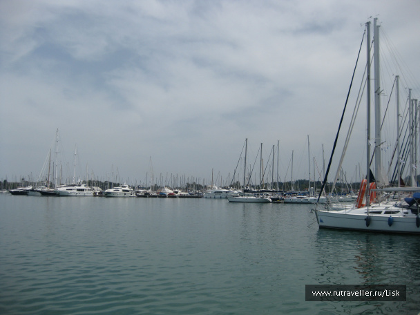 photo 66275