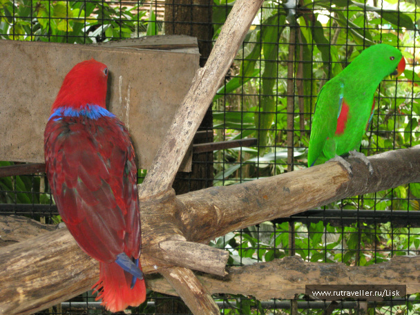 photo 79839