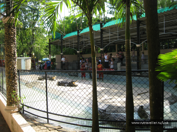 photo 79847