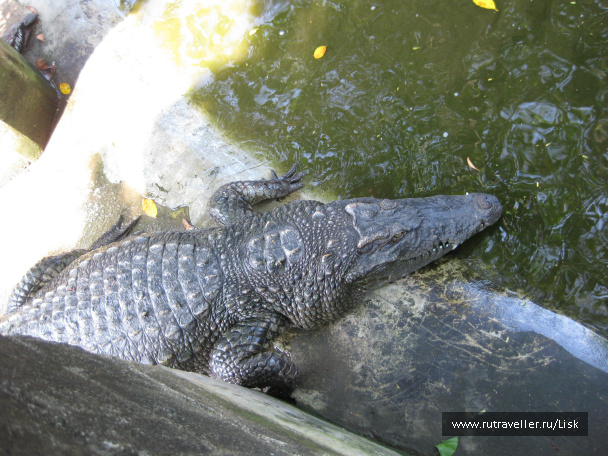 photo 79851